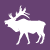 Wapiti