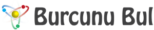 logo burcunubul